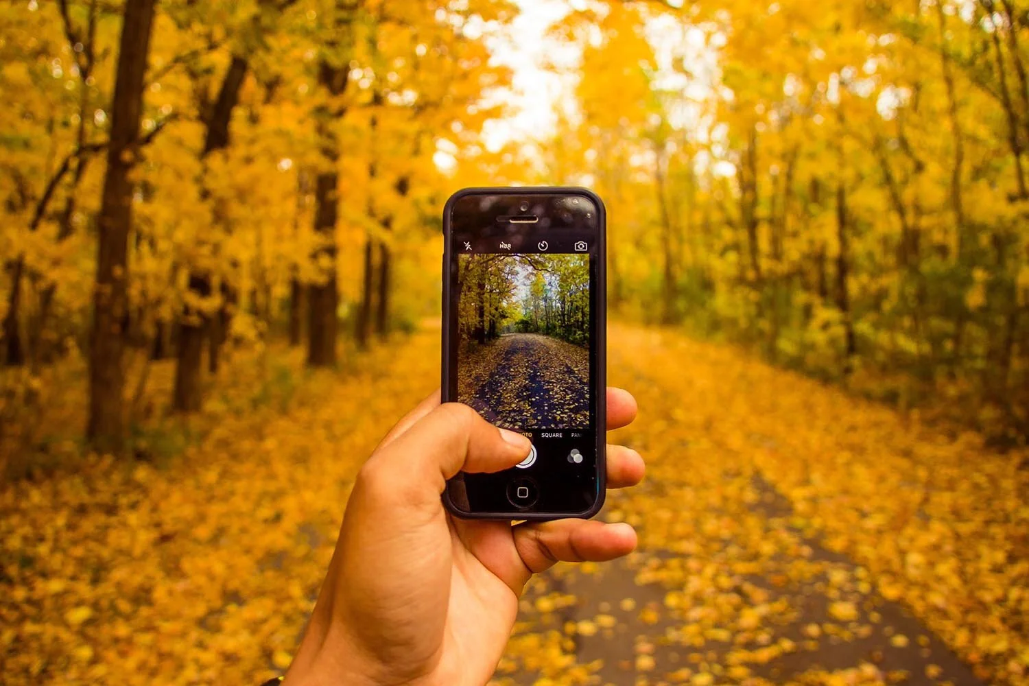 How to Take Better Photos with Your Phone