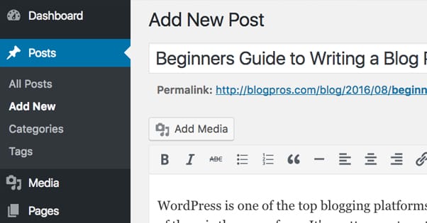 How to Write on a WordPress Blog 