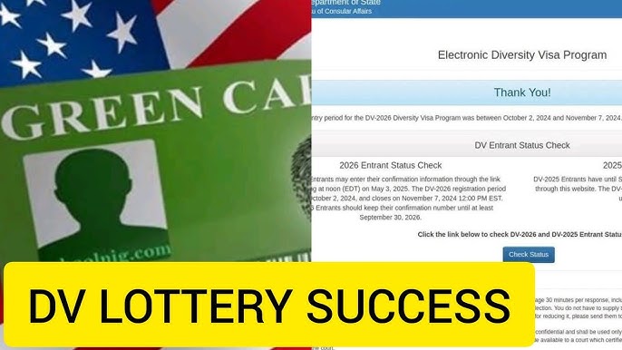 I Won the DV-2026 Lottery – What’s Next?